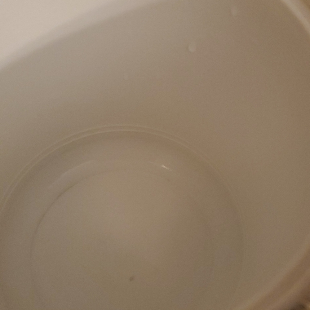 Morgan's Bucket Brigade - Picture 3 of 12